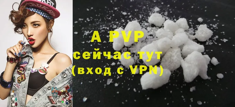 A PVP СК КРИС  Аргун 