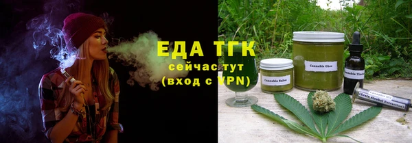 хмурый Новозыбков