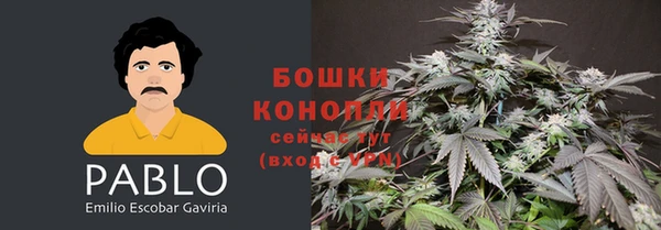 mdpv Новодвинск
