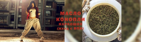 хмурый Новозыбков