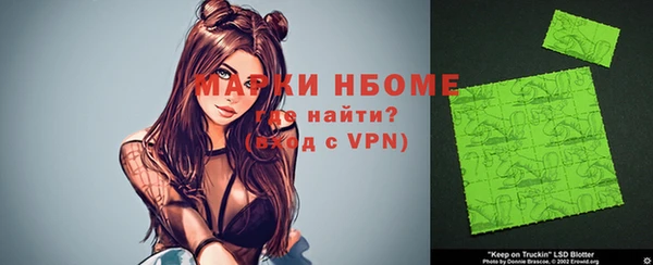 хмурый Новозыбков