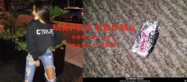 хмурый Новозыбков
