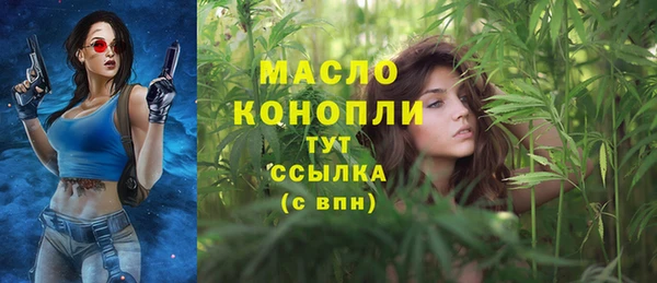 хмурый Новозыбков
