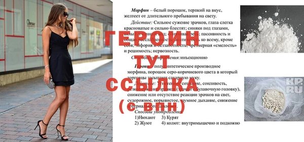 хмурый Новозыбков
