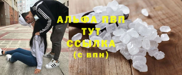 хмурый Новозыбков
