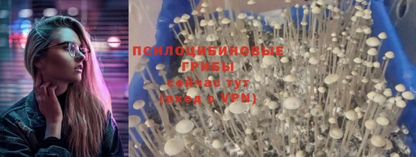 прущие крисы Новокубанск
