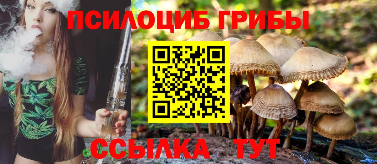 Галлюциногенные грибы ЛСД  Вход с VPN  Аргун  Галлюциногенные грибы прущие грибы 