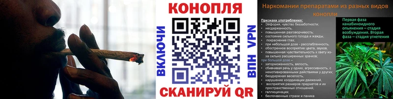 mega tor  Аргун  Бошки марихуана тримм 