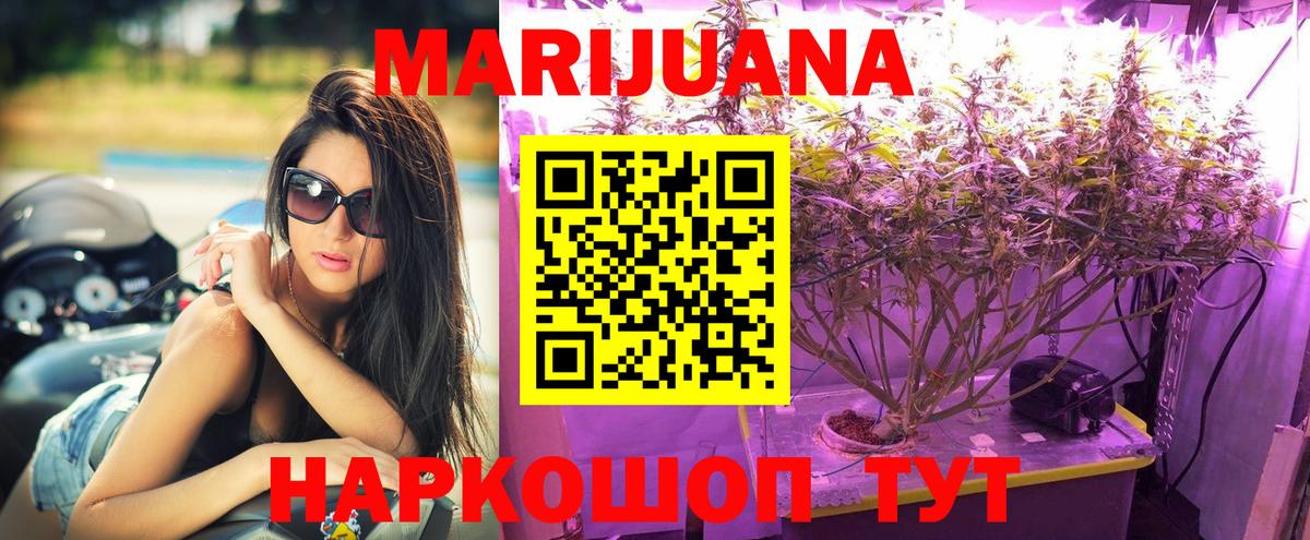 Бошки Шишки гибрид  Аргун  Марихуана конопля  МАРИХУАНА OG Kush 